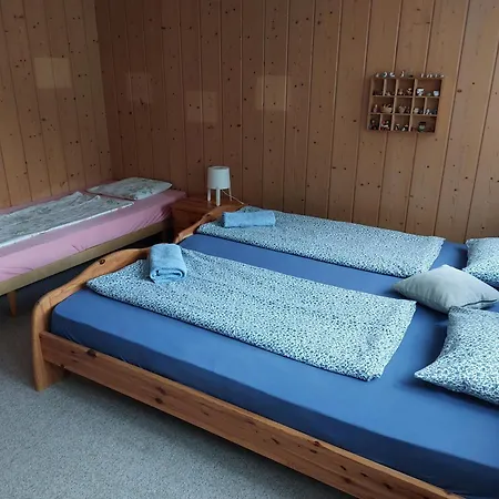 Apartman Bernese Oberland, *