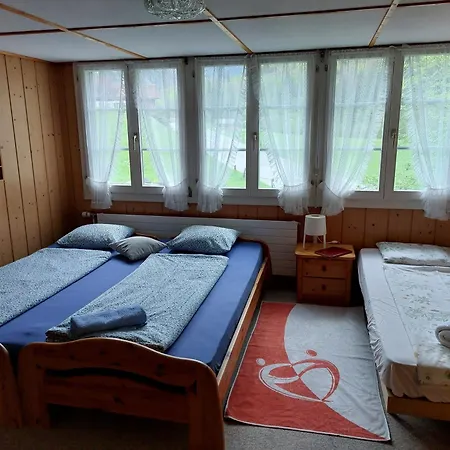 Apartment Bernese Oberland, *