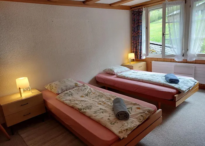 公寓 Bernese Oberland, *